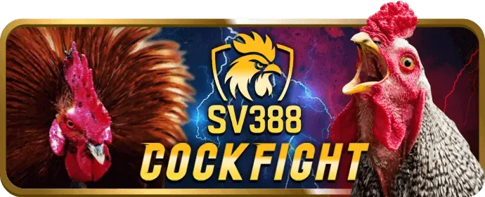 Hỗ trợ trực tuyến S8BET